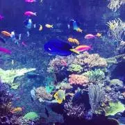 mpr⭐︎プロフィール必読要の画像