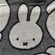ロンタンの画像