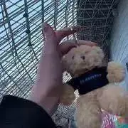 Koの画像