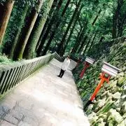 あおい