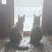 ジャギ