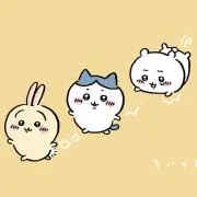 たこの画像