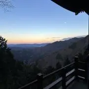 とみーの画像