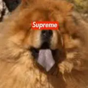 ベル