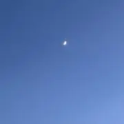 mさんの画像