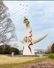 太陽29の画像