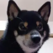 ふうりん