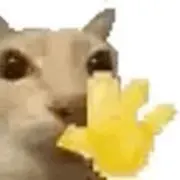いいねの画像