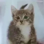 かりんR