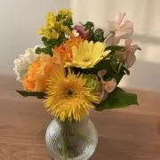 Sの画像