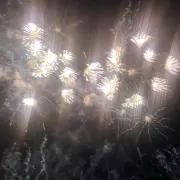おっしー