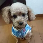 くらぼ