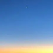 すぎの画像
