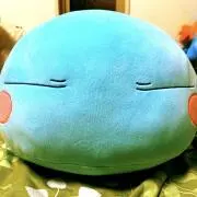 マロニーさんの画像