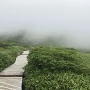 katyの画像