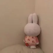 mcの画像