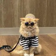 BetoZeRoの画像