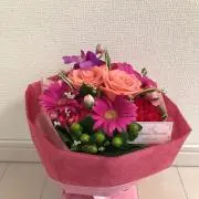 Stidyの画像