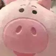 ハムの画像