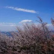 aknの画像