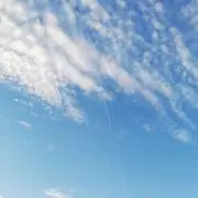 りゆんの画像