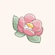 あいの画像