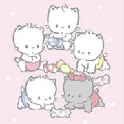pの画像