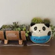 まっきぃ