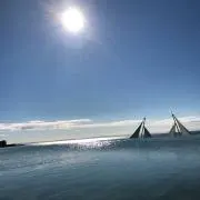 ウリボー