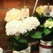 Ririkoの画像