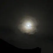 かなみんの画像