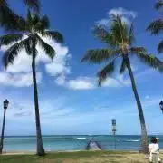 かやこんぐの画像