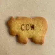 マギー