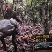 宮川卓也の画像