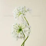 ・街・まとめ割♫の画像