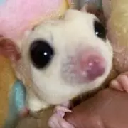 なあめろ
