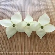 AOの画像