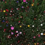 ︎︎︎︎︎☺︎の画像