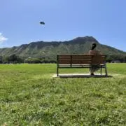 n.の画像