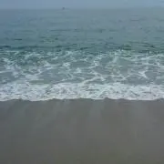 SEAの画像