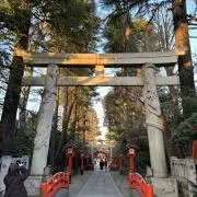 アイコの画像