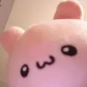夜の画像