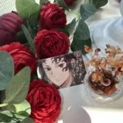 ⭐︎【まとめ、値下げ依頼前にプロフ必読】の画像