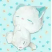 ゆめねこの画像