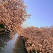 yu-kaの画像