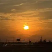 だんごの画像