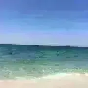 海の画像