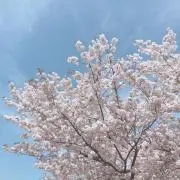 こよみ/プロフ必読の画像