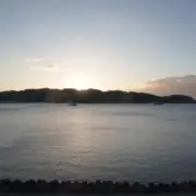 愛