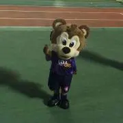 ハラちゃん